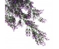 Fleurs de vigne violette