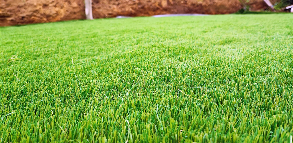 Artificial grass close-up view